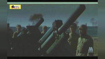 在线观看步兵,揭秘步兵作战的震撼瞬间  第1张